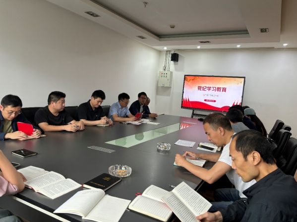 数智交通院党支部开展“增强服务意识，加强项目管理，提高合规经营”主题党日会议
