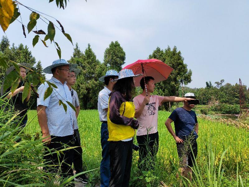 富金坝改扩建船闸踏勘现场